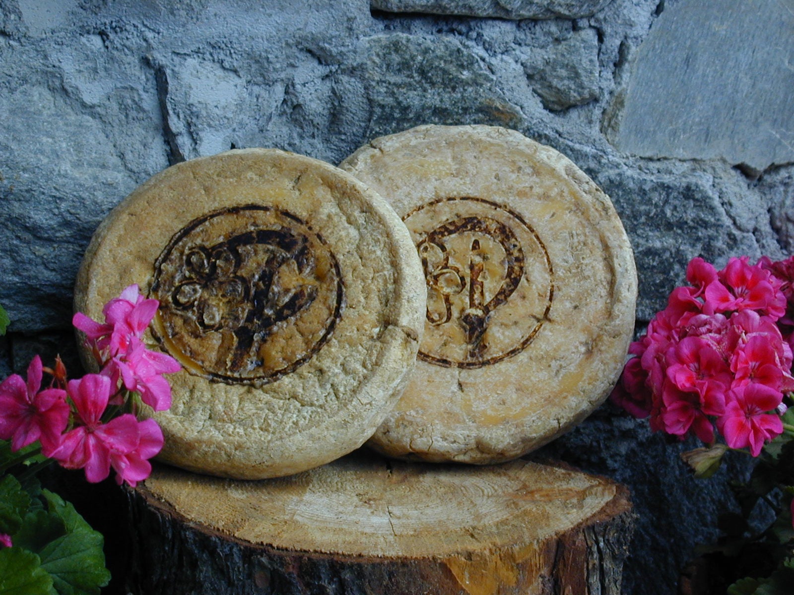 La Fiera del Plaisentif: Un Viaggio nel Cuore delle Tradizioni e dei Sapori della Val Chisone