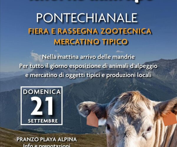 Fiero dei Seze: un giorno di rientro, radici e comunità tra le valli di Pontechianale