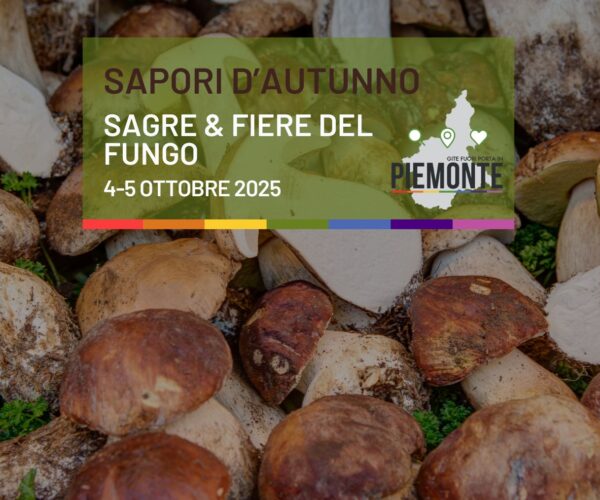 🍄 Dal Bosco alla Tavola: scopri tutte le Sagre del Fungo in Piemonte dal 3 al 5 Ottobre 2025