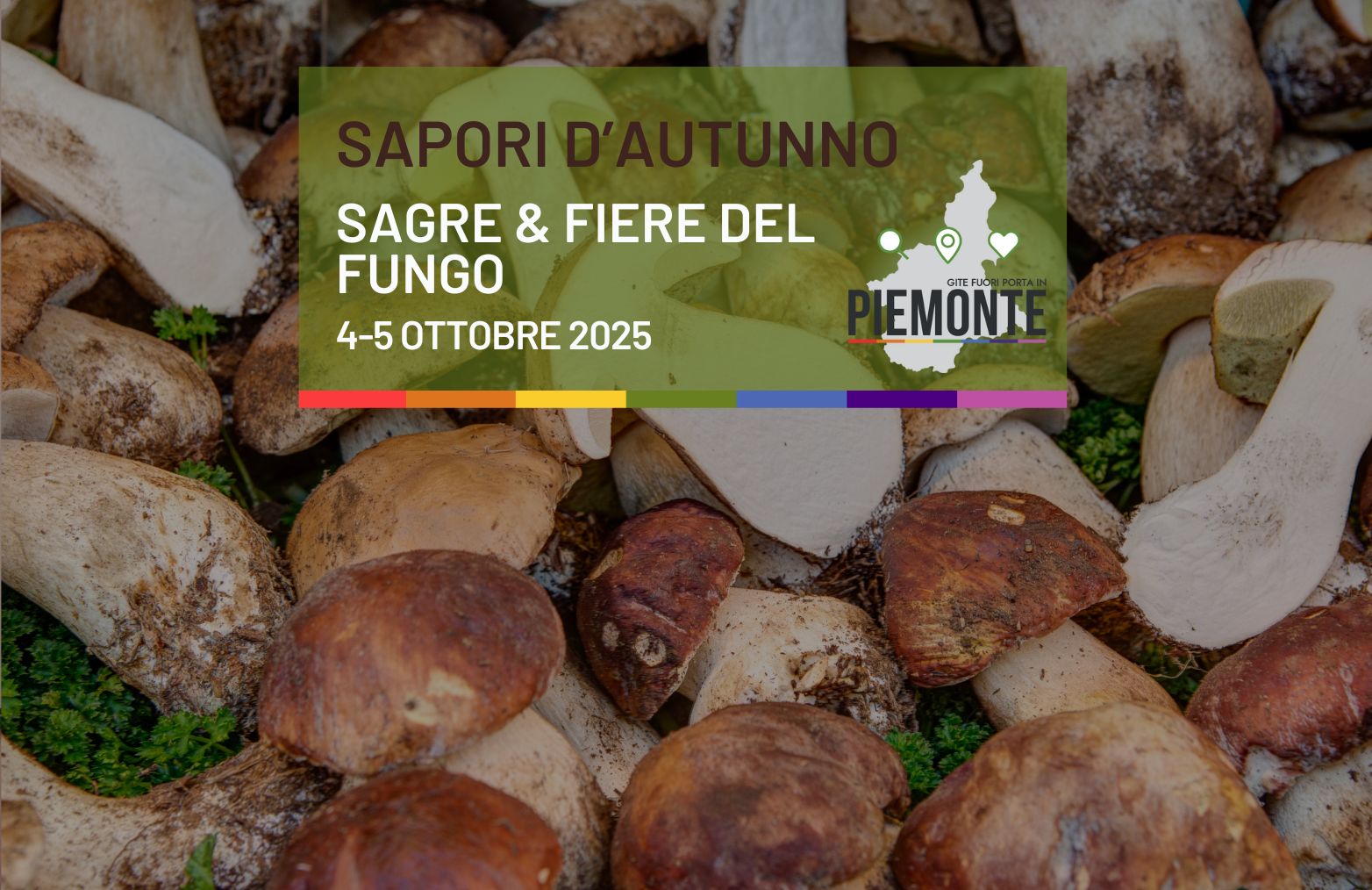 🍄 Dal Bosco alla Tavola: scopri tutte le Sagre del Fungo in Piemonte dal 3 al 5 Ottobre 2025