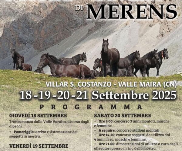 Tradizione, eleganza e natura: il Cavallo Mérens protagonista in Valle Maira