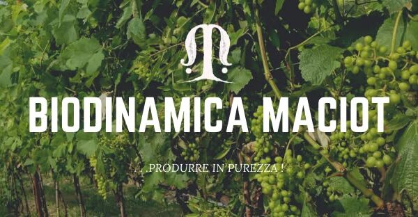 Azienda Agricola Biodinamica Maciót