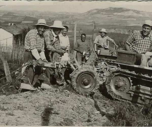 Boeri Vini: la cantina nel Monferrato che devi assolutamente visitare