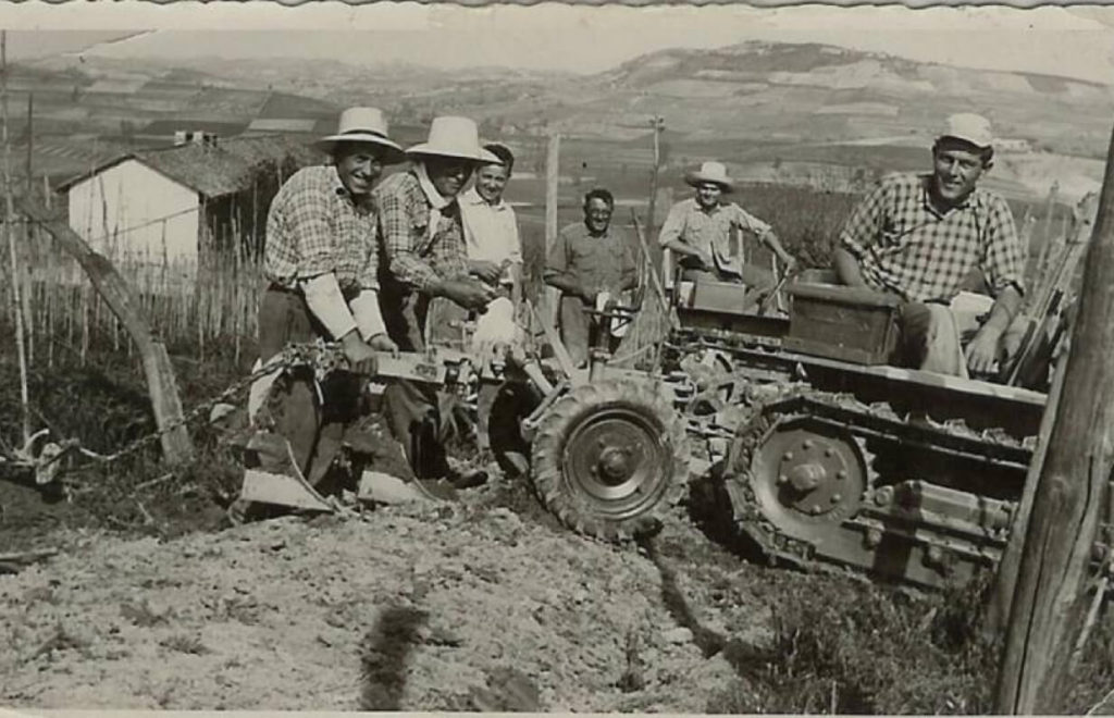 Boeri Vini: la cantina nel Monferrato che devi assolutamente visitare