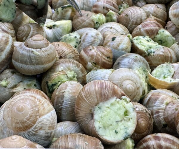 456ª Fiera Fredda: dal 4 all’8 dicembre 2025 torna la grande celebrazione della lumaca Helix Pomatia Alpina