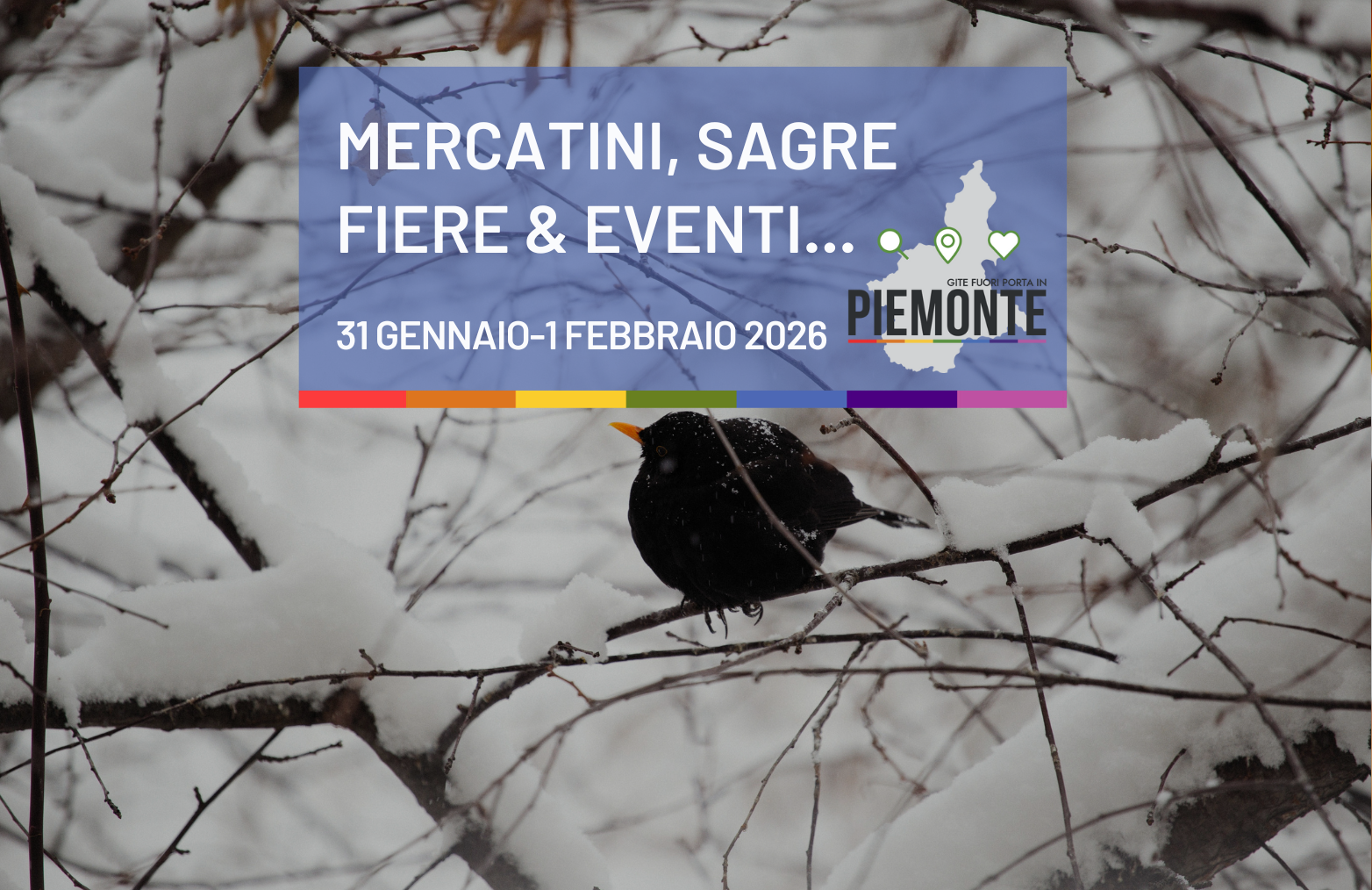 Weekend del 31 Gennaio- 1 Febbraio: se il freddo si fa sentire, in Piemonte rispondiamo a colpi di Bagna Cauda e Coriandoli!