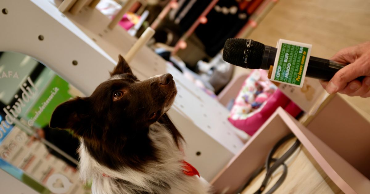 3 marzo a Moncalieri: giochi ed educazione cinofila con L’Isola dei Tesori e Dogsportal