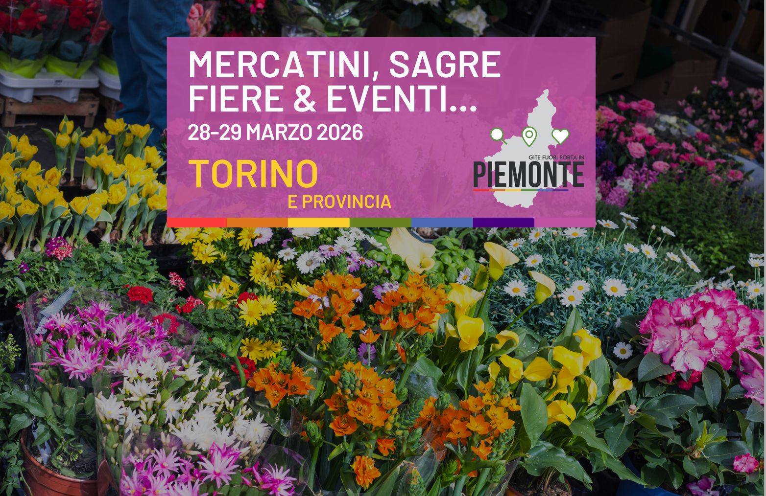 Cosa fare a Torino e in Provincia di Torino il 28 e 29 marzo: sagre, fiere e mercatini da non perdere