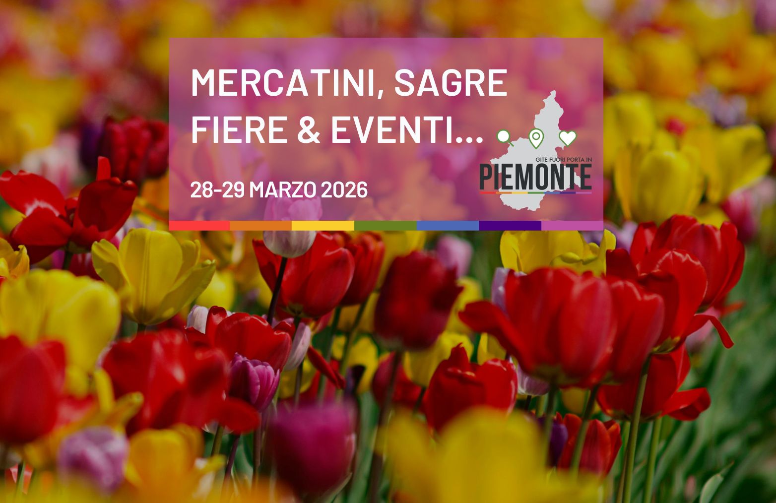 Eventi in Piemonte il 28-29 marzo 2026: tra fiori, fiere storiche e profumi di primavera