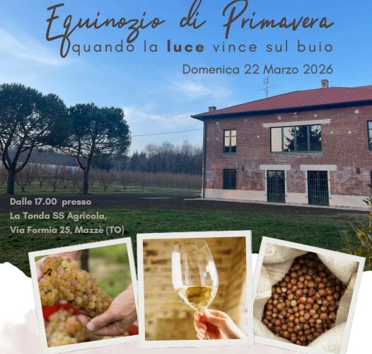 Risveglio di Primavera: Un Viaggio Sensoriale tra Noccioli e Calici a Mazzè