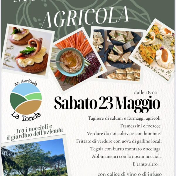 Merenda sinoira tra i noccioleti a Mazzè – Sabato 23 Maggio 2026