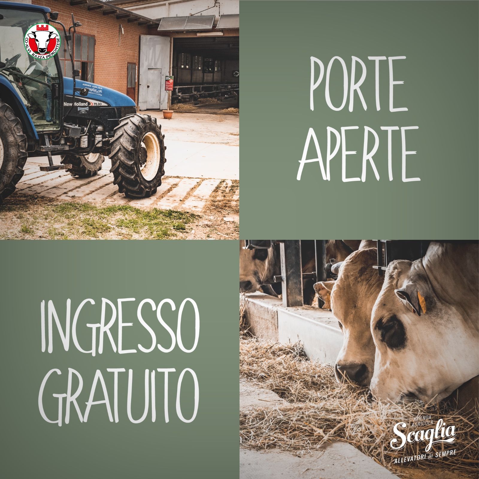 Giornata a Porte Aperte all’Azienda Agricola Scaglia: sabato 9 maggio a Rivoli