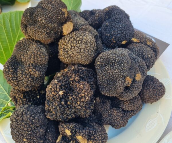 “NERO SUBLIME” TORNA A CASTAGNOLE DELLE LANZE: DAL 19 AL 21 GIUGNO LA SECONDA EDIZIONE DEL FESTIVAL DEDICATO AL TARTUFO NERO ESTIVO