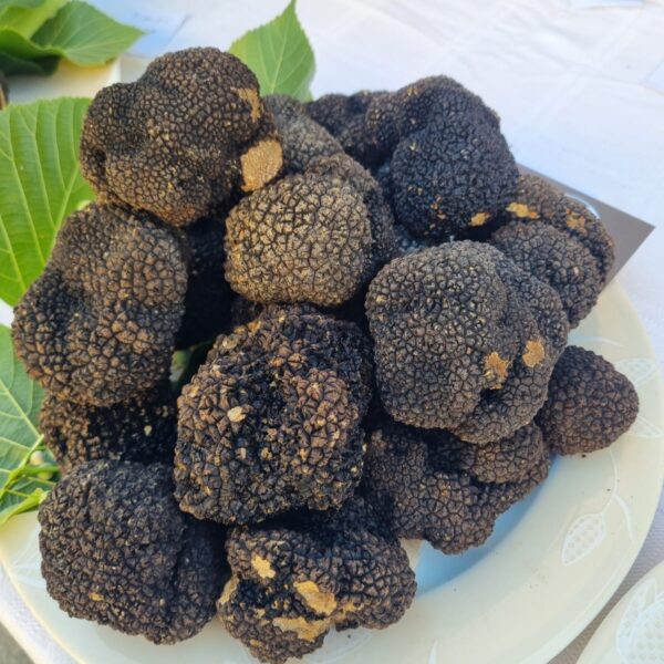 “NERO SUBLIME” TORNA A CASTAGNOLE DELLE LANZE: DAL 19 AL 21 GIUGNO LA SECONDA EDIZIONE DEL FESTIVAL DEDICATO AL TARTUFO NERO ESTIVO