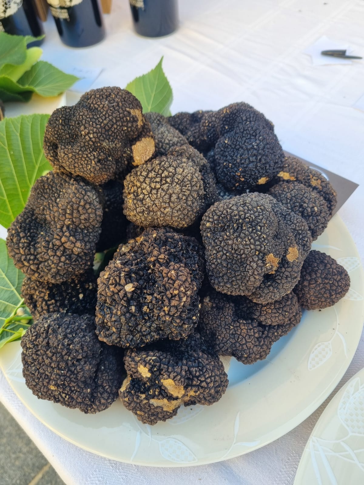 “NERO SUBLIME” TORNA A CASTAGNOLE DELLE LANZE: DAL 19 AL 21 GIUGNO LA SECONDA EDIZIONE DEL FESTIVAL DEDICATO AL TARTUFO NERO ESTIVO